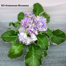 КО-Алмазная Мозаика (Кособокова)